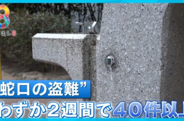【異変】江戸川区のグラウンドや公園から蛇口が消える…２週間で40件以上「困るし怖い」【めざまし８ニュース】