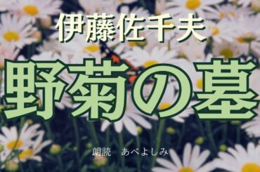 【朗読】伊藤左千夫「野菊の墓 」　朗読・あべよしみ