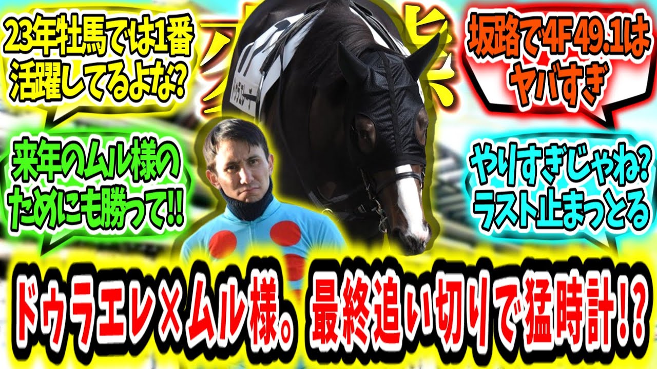『ドゥラエレーデ、フェブラリーS坂路最終追い切りで猛時計‼』に対するみんなの反応【競馬の反応集】 『ドゥラエレーデ、フェブラリーS坂路最終追い切りで猛時計‼』に対するみんなの反応【競馬の反応集】
