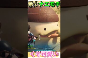 可愛すぎる希少ナエモチ【パルワールド】