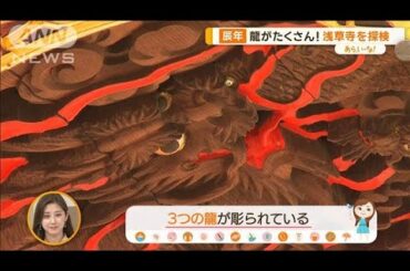 実は龍だらけ！の浅草寺　あの提灯の下、天井にも…いくつ発見できる？【あらいーな】【あらいーな】【グッド！モーニング】(2024年2月21日)