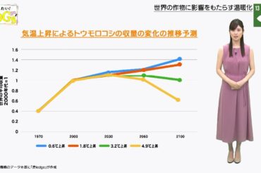 知りたい！SDGs #38 |2020年6月18日放送