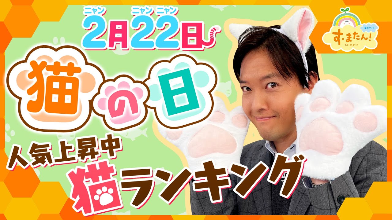 2月22日は猫の日 人気急上昇中の品種TOP3/とれたてランキング 2月22日は猫の日 人気急上昇中の品種TOP3/とれたてランキング