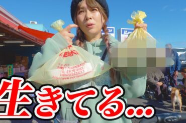 【車中泊旅】茨城の市場で売っていた美味しいハズのアレをキャンプ飯にしたい。