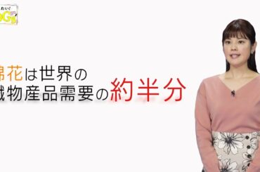 知りたい！SDGs #28 |2020年4月9日放送