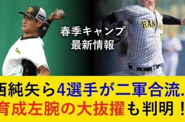 【春季キャンプ最新情報】西純矢選手ら4選手の二軍合流が決定…。岡田監督絶賛の育成左腕は一軍の対外試合へ抜擢！【阪神タイガース】
