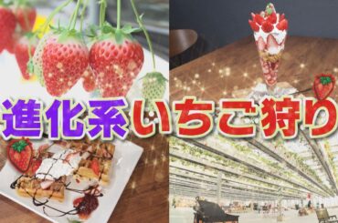 【須田亜香里がとろけた！】東海地方の進化するいちご狩り！新品種にポカポカこたつ！？