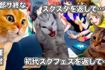 現在のラブライブ界隈【猫ミーム】#猫マニ #猫ミーム
