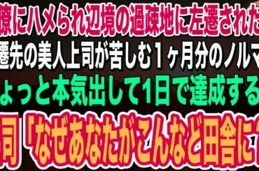 【感動する話🌟】同僚にハメられ辺境の過疎地の支店に左遷された俺。左遷先で美人上司の１ヶ月分の仕事をたった1日で終わらせ1億円の契約を獲得すると「なぜあなたがこんなど田舎に？」→実は…朗読泣ける話いい話