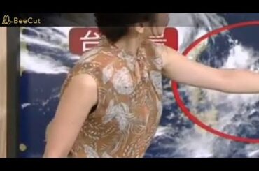 本日の桑子 真帆（19.07.31）