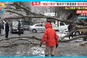 【異例】“凍結で倒木”軽井沢で鉄道運休 氷で覆われた架線…観光客も困惑【めざまし８ニュース】