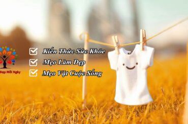 ニッポン人の頭の中  2024年2月24日 LIVE FULL【1080pHD】 New