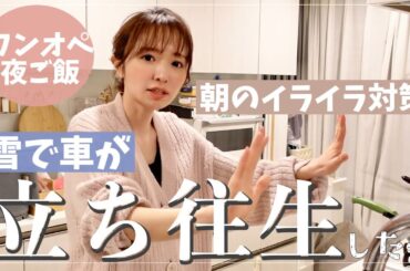 【夕食準備】車埋まった…＆朝のイライラ改善を考えた【夜ご飯はシチュー】