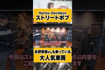 【Harley-Davidson】永野芽郁さんも乗ってるストリートボブのカスタム車両を特別価格で販売！【ストリートボブ】【FXBBS】#shorts
