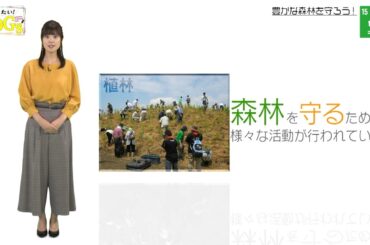 知りたい！SDGs #9 |2019年11月28日放送