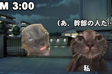 幹部自衛官の過酷さを自衛官時代に目撃したって話【猫ミーム】