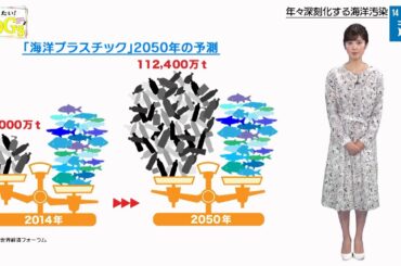 知りたい！SDGs #34 |2020年5月21日放送