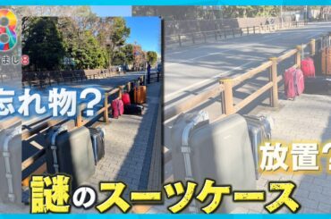 【なぜ？】上野公園近くの路上にスーツケース複数放置 警告文の張り紙も…【めざまし８ニュース】