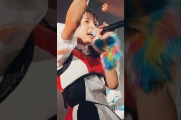 #豆柴の大群都内某所 わんダーらんど #豆柴の大群 #都内某所 #モンスターアイドル ホ。フェス’24