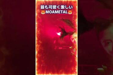 この世で一番かわいい＆一番激しいMOAMETALがこちら💖🦊💖　#shorts  #babymetal
