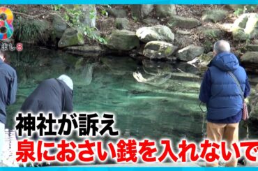 「泉にさい銭投げ入れないで！」映えスポットの神社が美しい泉を守るため強く訴え【めざまし８ニュース】