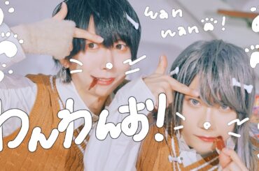 【MV】わんわんお！ / いりないち 【ベアードアード】