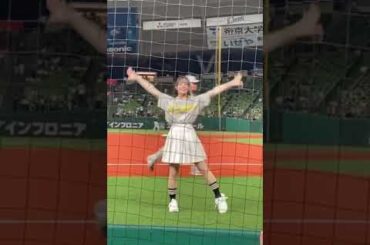 【吠えろライオンズ】向井葉月ちゃんのセレモニアルピッチ見てきた🦁⚾️┋ bluelegends💙