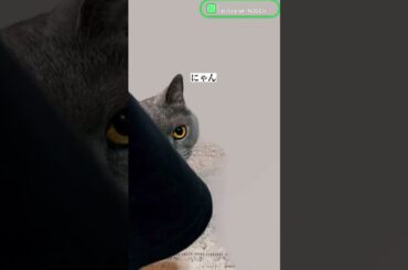 2024年2月21日から23日 Perfumeのあ～ちゃん、のっちさん、かしゆかさんのインスタグラムの投稿まとめ