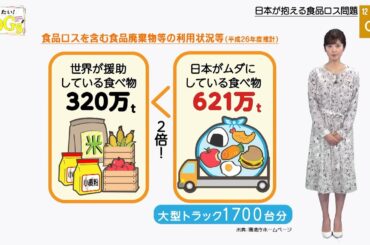 知りたい！SDGs #32 |2020年5月7日放送