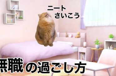 無職ニートの頃の話（猫ミーム 猫マニ）