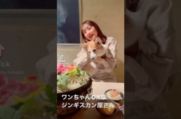 愛犬とジンギスカン屋へ🍖