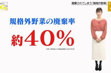 知りたい！SDGs #70 |2021年1月28日放送