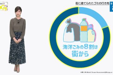 知りたい！SDGs #55 |2020年10月15日放送
