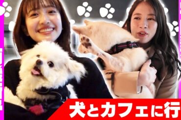 宇内アナ＆南後アナ 犬を連れてカフェに行く【チワプー＆柴犬】