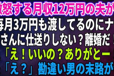 【スカッとする話】激怒する月収12万円の夫が「毎月3万円も渡してるのにナゼ母さんに仕送りしない？離婚だ！」私「え！いいの？ありがとー！」夫「え？」勘違い男の末路がｗ【修羅場】