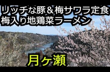 月ヶ瀬梅林2024＆豚肉炒めサワラ定食と梅入り地鶏菜ラーメン【奈良 月ヶ瀬】