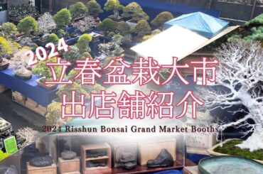 2024立春盆栽大市出店紹介～掌サイズの盆栽から大型名木まで圧巻の顔ぶれ～
