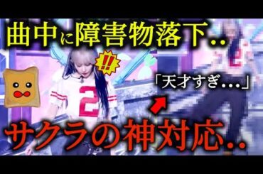 【神対応】サクラが曲中に障害物を..【LE SSERAFIM 音楽中心】