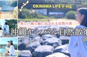 🌿🌊 沖縄ヤンバル自然散策：美しい海と緑に包まれる自然の美 🌊🌿しおりん家のおいしい休日！沖縄やんばるで暮らすしおりファミリー南国日常Vlog　okinawa