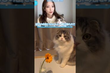 日向坂46 佐々木久美 とろろ 2月22日は 猫の日 だにゃぁ〜♪ 日向坂ちゃんねる