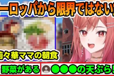 実家のヨーロッパから莉々華ママの限界ではない飯を披露する一条 莉々華【ホロライブ切り抜き】