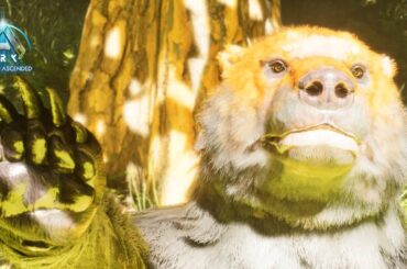 【ASA】モフモフ最高‼レッドフォレストで"ショートフェイスベア"と"巨大女王バチ"をテイムせよ‼ #11【新恐竜島での漂流ARK生活】