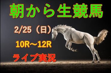 中央競馬　Horse Racing Commentary　as huge as a horse’s ！（小倉、阪神、中山）