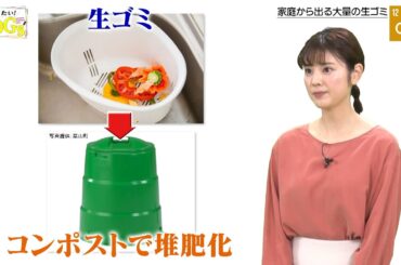 知りたい！SDGs #73 |2021年2月18日放送