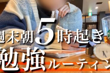 【テスト期間vlog】朝5時に起きてテスト勉強する大学生の勉強ルーティン
