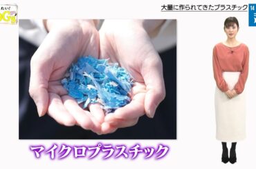 知りたい！SDGs #72 |2021年2月11日放送