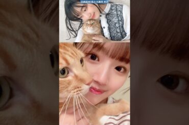 日向坂46 佐々木美玲 あお ずっとキャットタワーの穴を覗いてるあおちゃん♪ 猫の日