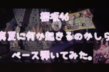 櫻坂46『真夏に何か起きるのかしら』ベース弾いてみた。