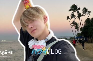 [DXTN VLOG] 波留のハワイVLOG🐬