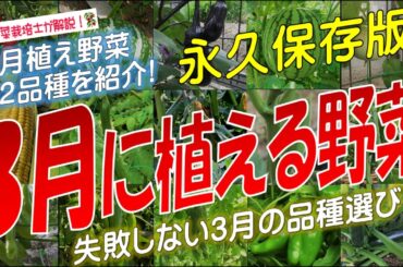 3月に植える野菜（36品種）永久保存版